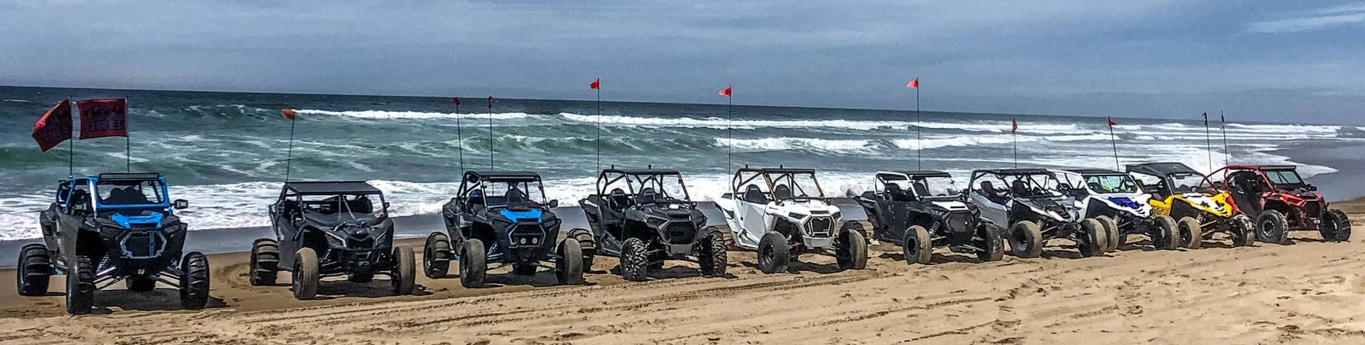 Your Next Obsession Starts Here!