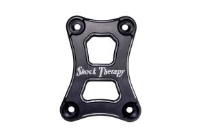 Shock Therapyst - Shock Therapy Pull Plate for the RZR Pro R - Image 4